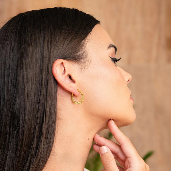 Catania Hoop Earrings Gold Plated 18K